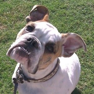 Meet your Posher, Sandy